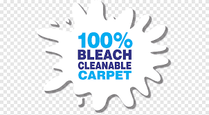 bleach carpet wood flooring vinyl