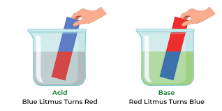 Chemical Indicators Definition Types