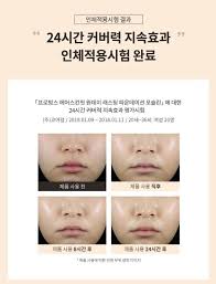 nature republic provence air skin fit