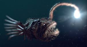 Although we now recognize 2003's finding nemo as one of pixar's most critically and commercially successful films, the underwater masterpiece didn't exactly kick off production as a guaranteed goldmine. Anglerfish Light Finding Nemo Underwater Creatures Deep Sea Creatures Weird Creatures