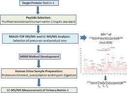 Mass Spectrometric Quantification Of Urinary Netrin 1