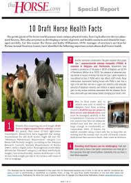 10 draft horse health facts the horse