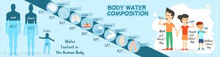 health tip on water content in the body