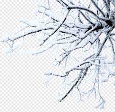 ✓ free for commercial use ✓ high quality images. Arbres D Hiver De Neige Blanche Neige Neige Clipart Png Pngegg