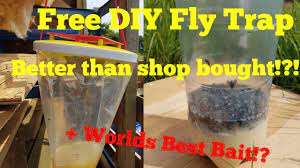 making the best diy fly trap with the