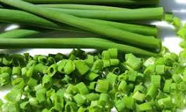 is-a-chive-a-scallion