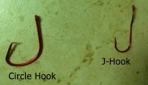 5 Benefits Of Using Circle Hooks When