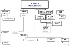 Organizational Chart Of Science Department 8 Download