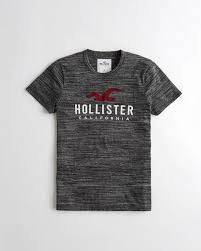 Hollister Wholesale Graphic Tees Cheap Hollister Logo