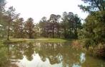 Swamp Fox Golf Club in Greeleyville, South Carolina, USA | GolfPass