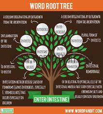 enter root word wordpandit
