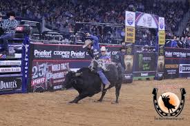 Image result for alex marcilio rides