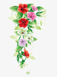 natural beautiful flowers clipart