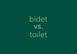 bidet vs toilet what s the
