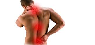 Честите причини за болка в рамото включват артрит, бурсит и фрактури. Uprazhneniya Za Diskova Herniya Na Shijni Preshleni Lejanki Bg