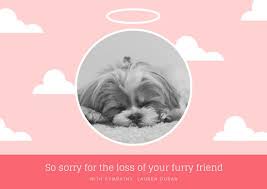 Customize 162 Pet Sympathy Card Templates Online Canva
