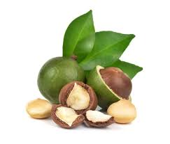 how do macadamia nuts grow top facts