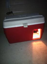 A junction box is used to add a spur or to extend circuits and direct be sure which type of junction box should be used for ring main, radial circuits and lighting circuits. Our Heated Dog House Wired With A Lightbulb Heated Dog House Dog Sweaters Dog House
