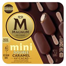 magnum mini ice cream bars double
