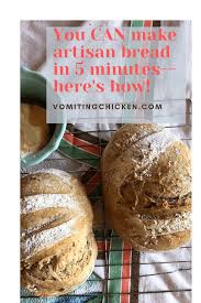 artisan bread in 5 minutes