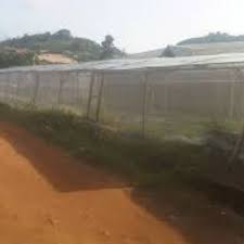 locally made greenhouse in nigeria
