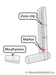 Asthma Using A Peak Flow Meter