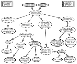 Flow Chart Model Linking The Development Of Arborescence And