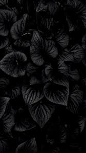 amoled darkest black wallpapers