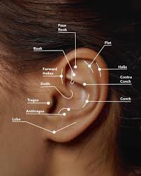34 types of ear piercings to try in