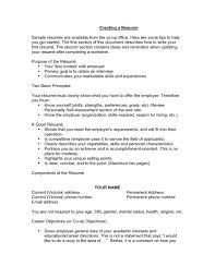 Sample First Resume   Free Resume Example And Writing Download