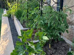 Raised Bed Vegetable Garden