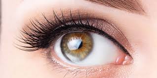 The first of these phases, the anagen, is considered the active growth. What You Should Know About Eyelash Growth Serums American Academy Of Ophthalmology