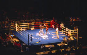 Boxing, press releases by ring tv. Ring Vikislovar