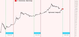 Impact Of Bitcoin Halving On Price Massmux Com