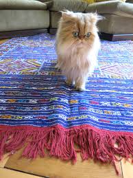 how to choose a rug for a cat friendly