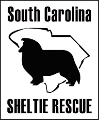 sc sheltie rescue