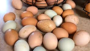 7 tips to help you sell your farm fresh eggs for more money. Start A Successful Egg Business That Makes You Money Hobby Farms