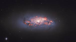 Hubble Sees Dusty Star-Forming Galaxy: NGC 972 | Sci.News