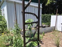 Homemade Wood Arbor Gardening Charlotte