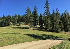 However, i am certain that the forest is fully open for the summer season now on july 22. Carson Forest Fr5 Boondocking Paradise New Mexico Free Camping