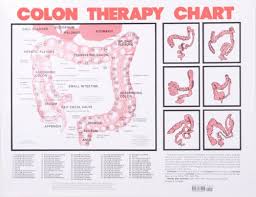 Colon Therapy Chart Buy Online In Uae Books Products In