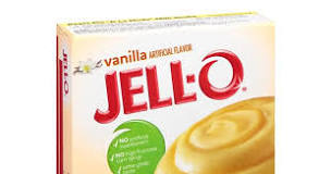 Is JELL-O Instant Pudding vegan?