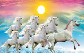 7 white horses colorful sky