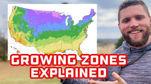 what are plant hardiness zones