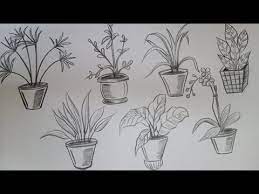 How To Draw House Plants Drawing Part 1