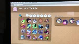 39 Expert Pets In Prodigy