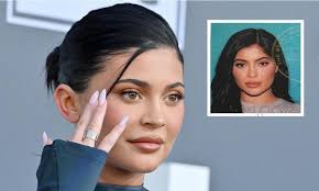 kylie jenner s driver s license called