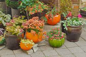 Fall Gardening Ideas Garden Design