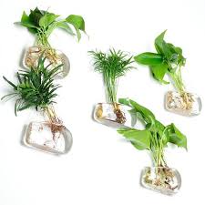 indoor plants wall planter vase
