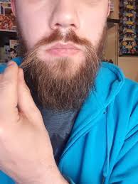 Using mustache scissors or electric trimmer, trim first for shape, cutting along bottom of mustache and then outer edges. Not Really Found Anything About This Do You Trim Down The Horseshoe Part For A Handlebar And If So How And From Where Do You Cut It Moustache